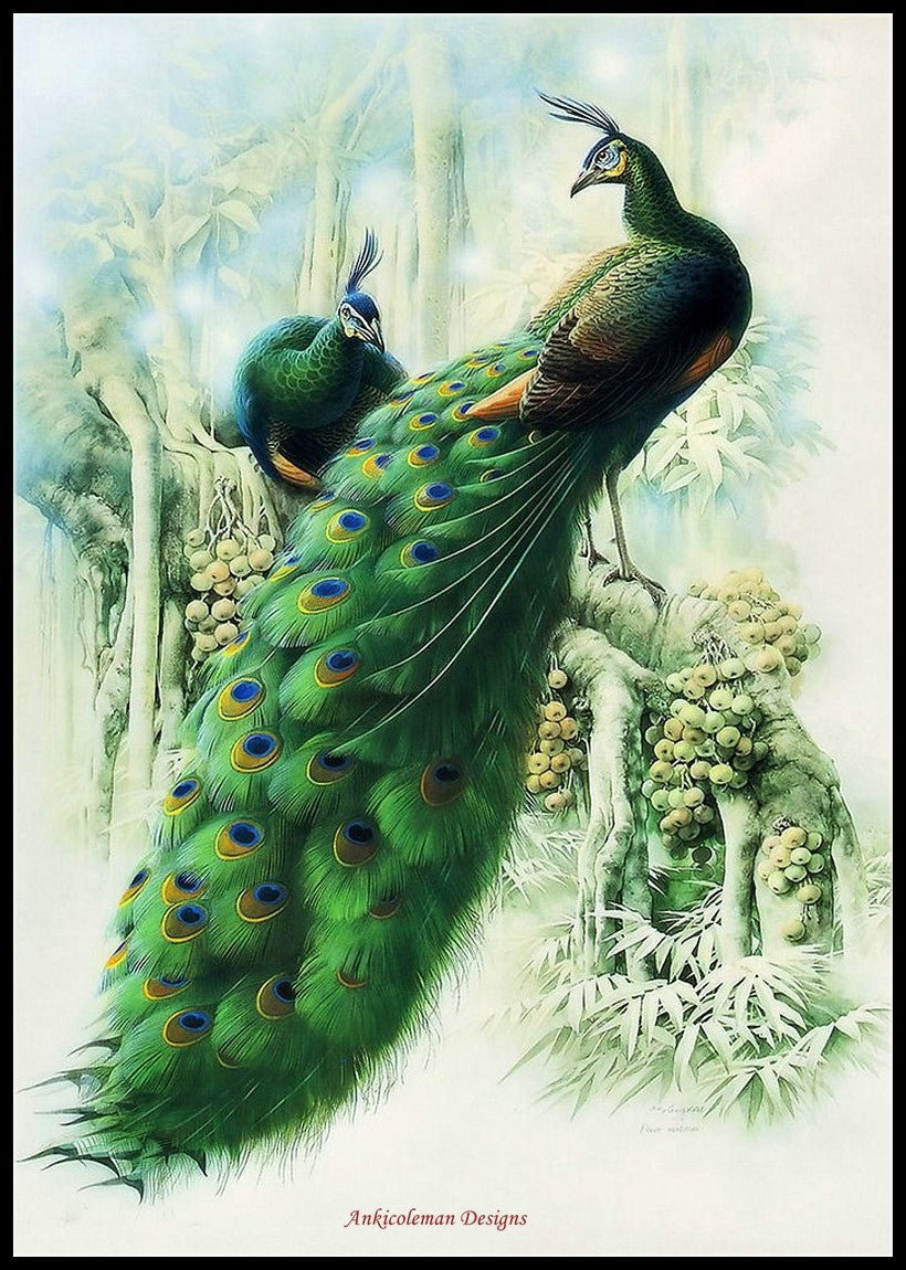 Peacock Collection 6 - Counted Cross Stitch Patterns Embroidery Crafts Needlework DIY Chart DMC Color