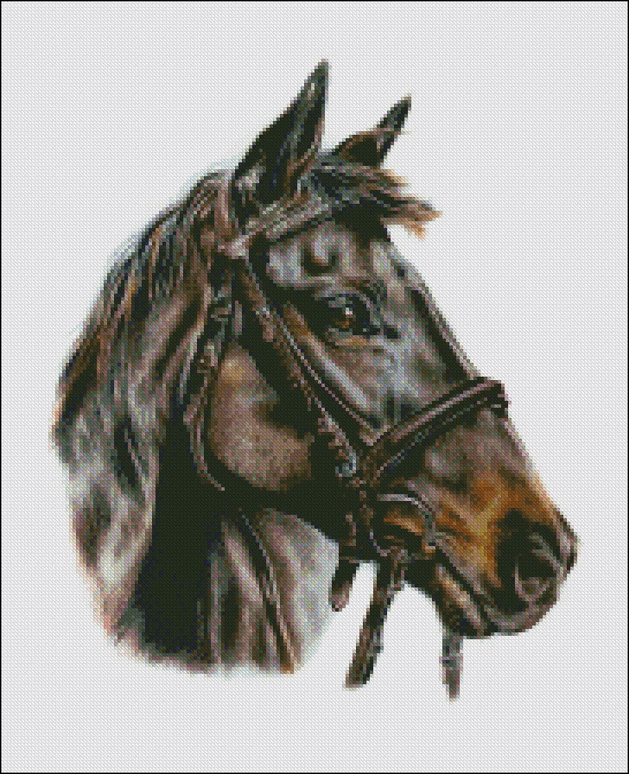 Pretty Horse 2 - Counted Cross Stitch Patterns Embroidery Crafts Needlework DIY Chart DMC Color