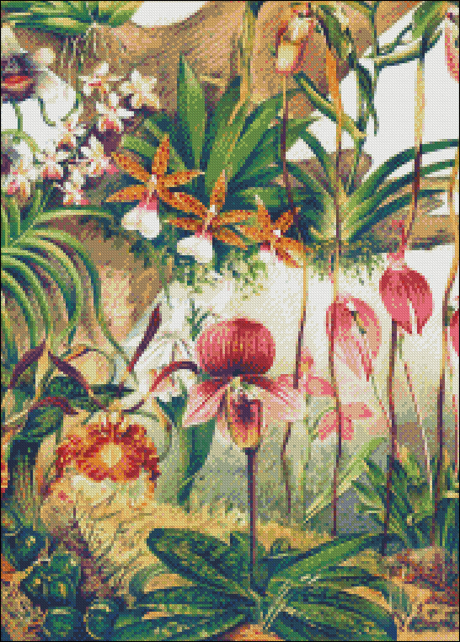 Orchids - Counted Cross Stitch Patterns Embroidery Crafts Needlework DIY Chart DMC Color