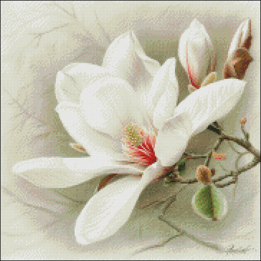White Magnolia - Counted Cross Stitch Patterns Embroidery Crafts Needlework DIY Chart DMC Color
