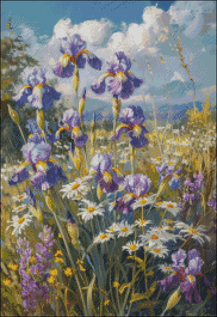 Irises and Oxeye Daisies - Counted Cross Stitch Patterns Embroidery Crafts Needlework DIY Chart DMC Color