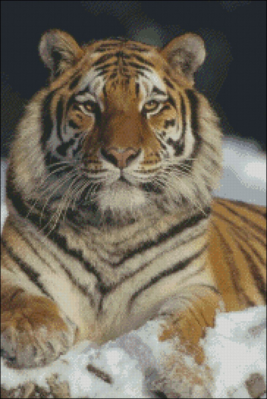 Tiger Collection 16 - Counted Cross Stitch Patterns Embroidery Crafts Needlework DIY Chart DMC Color