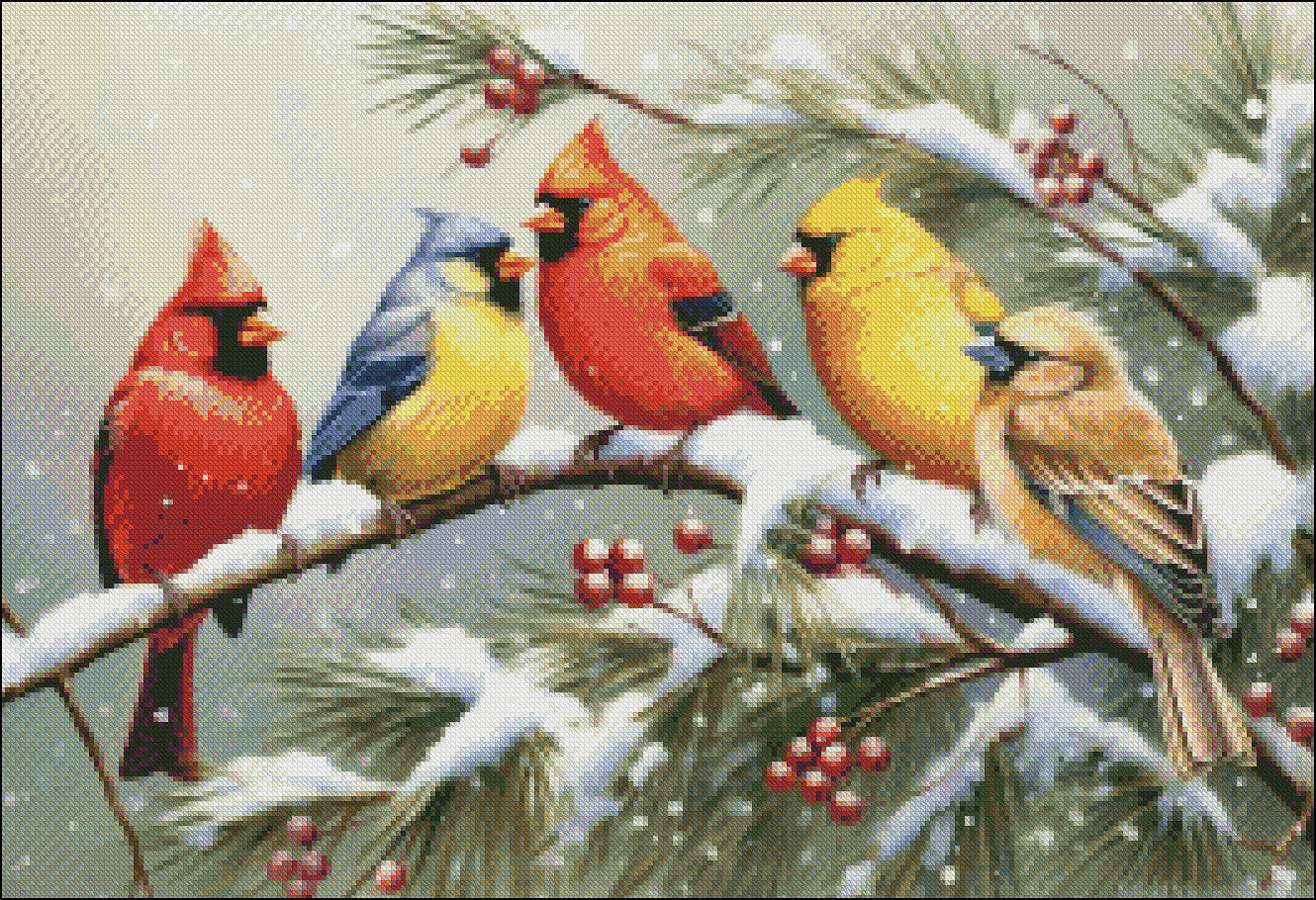 Backyard Birds - Counted Cross Stitch Patterns Embroidery Crafts Needlework DIY Chart DMC Color