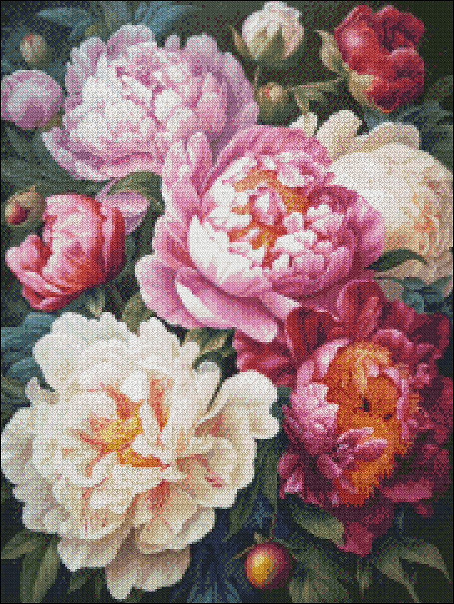 Colorful Peonies - Counted Cross Stitch Patterns Embroidery Crafts Needlework DIY Chart DMC Color