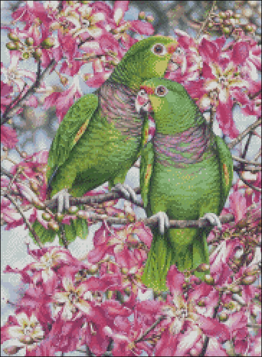 Parrot and Macaw 9 - Counted Cross Stitch Patterns Embroidery Crafts Needlework DIY Chart DMC Color