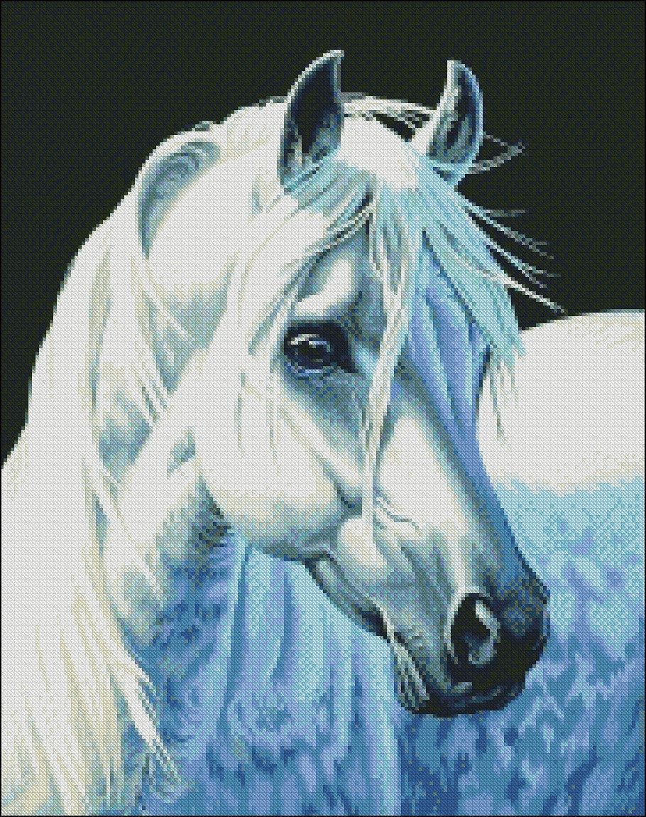 Pretty Horse - Counted Cross Stitch Patterns Embroidery Crafts Needlework DIY Chart DMC Color