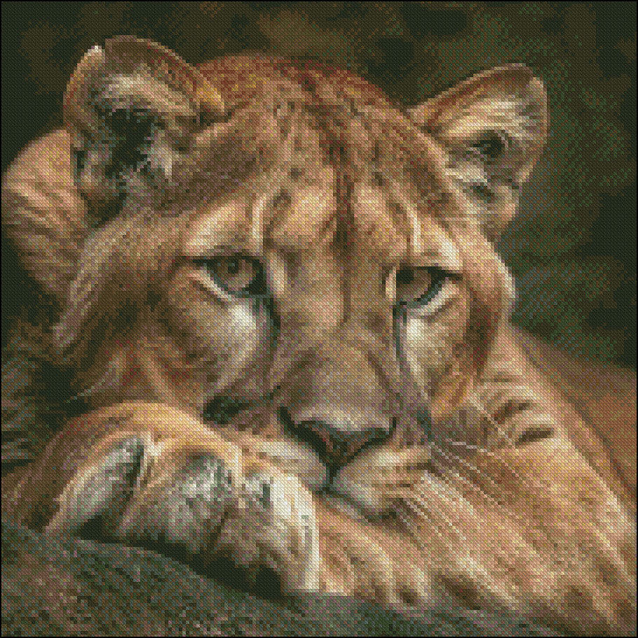 Puma Head Portrait - Counted Cross Stitch Patterns Embroidery Crafts Needlework DIY Chart DMC Color