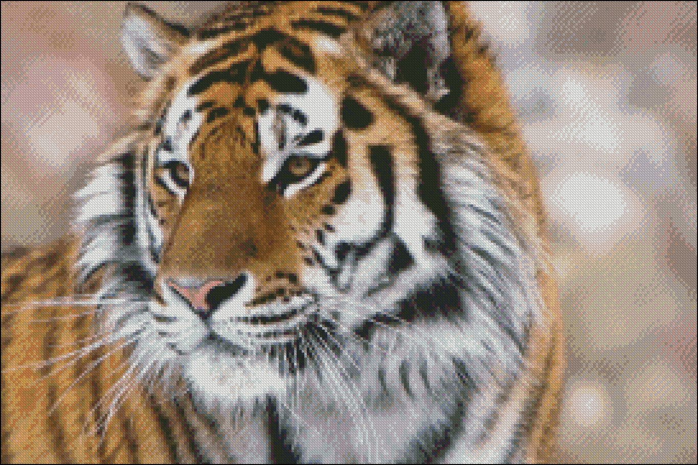 Siberian Tiger - Counted Cross Stitch Patterns Embroidery Crafts Needlework DIY Chart DMC Color