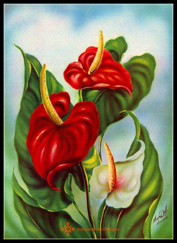 anthurium pdf Anthurium