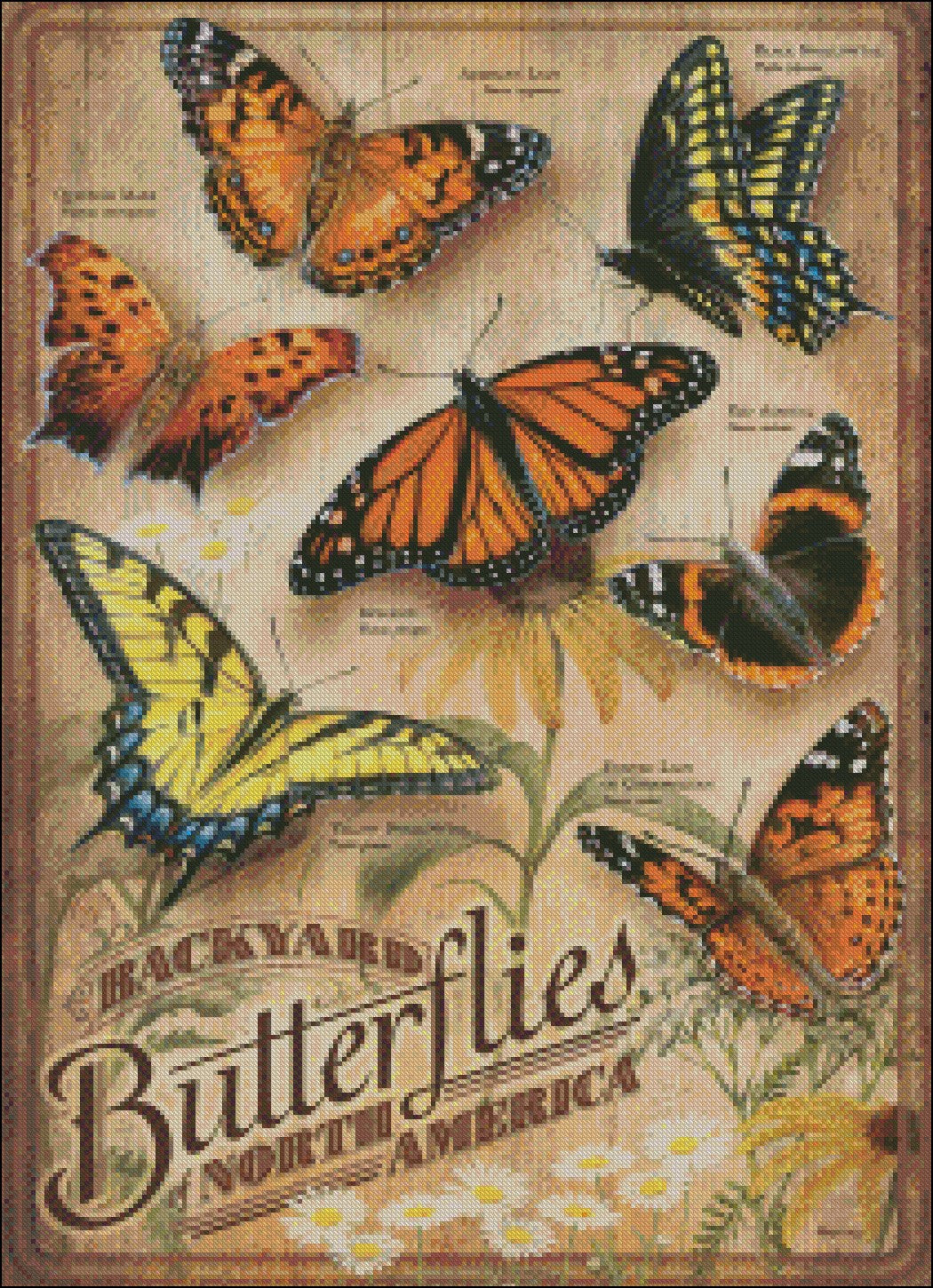 Backyard Butterflies - Counted Cross Stitch Patterns Embroidery Crafts Needlework DIY Chart DMC Color