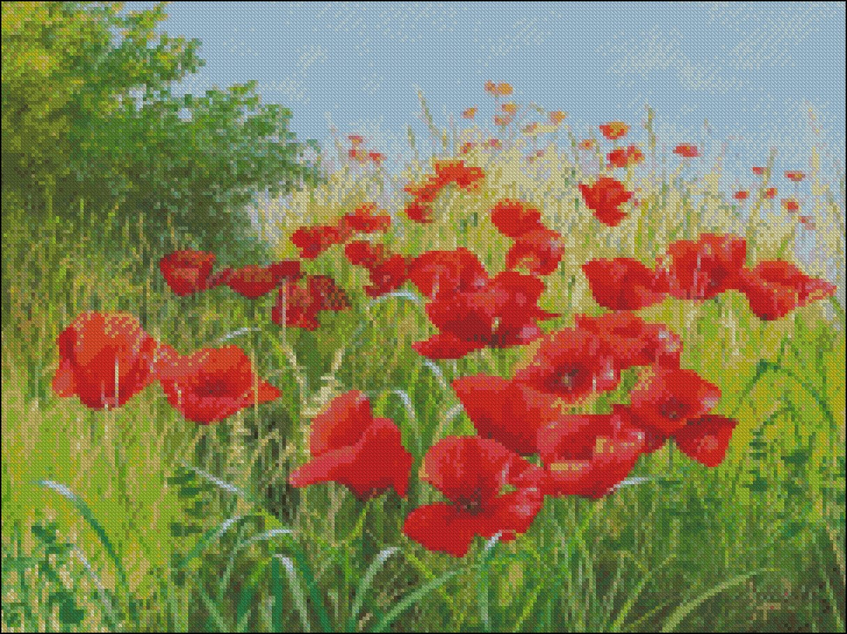 Poppies Field 10 - Counted Cross Stitch Patterns Embroidery Crafts Needlework DIY Chart DMC Color