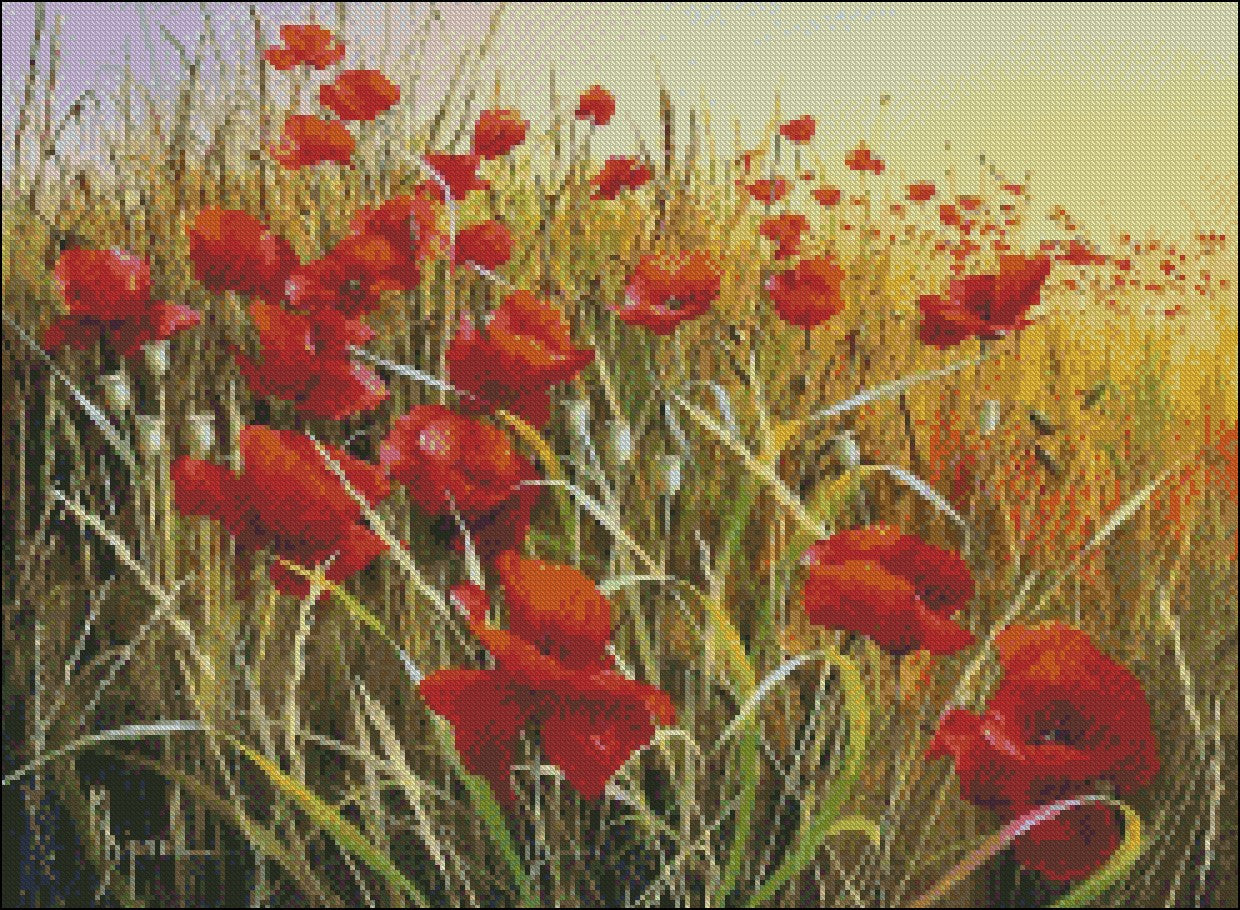 Poppies Field 12 - Counted Cross Stitch Patterns Embroidery Crafts Needlework DIY Chart DMC Color