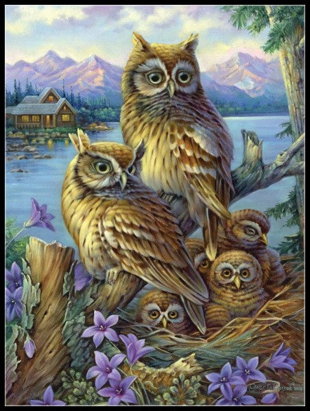 Owls Collection 13 - Counted Cross Stitch Patterns Embroidery Crafts Needlework DIY Chart DMC Color
