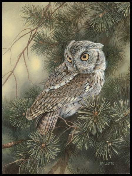 Owls Collection 14 - Counted Cross Stitch Patterns Embroidery Crafts Needlework DIY Chart DMC Color