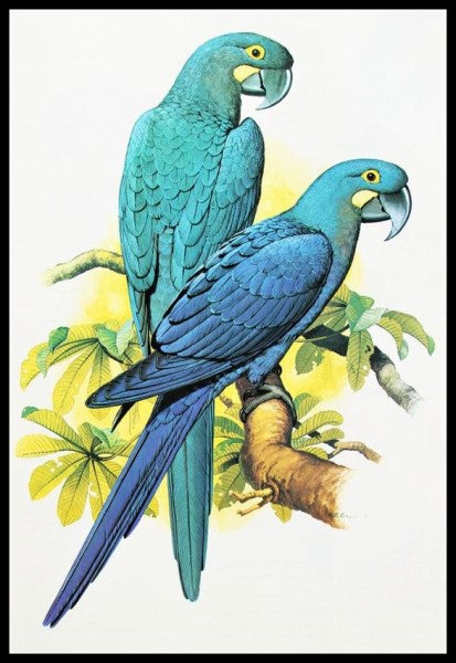 Parrot and Macaw 15 - Counted Cross Stitch Patterns Embroidery Crafts Needlework DIY Chart DMC Color