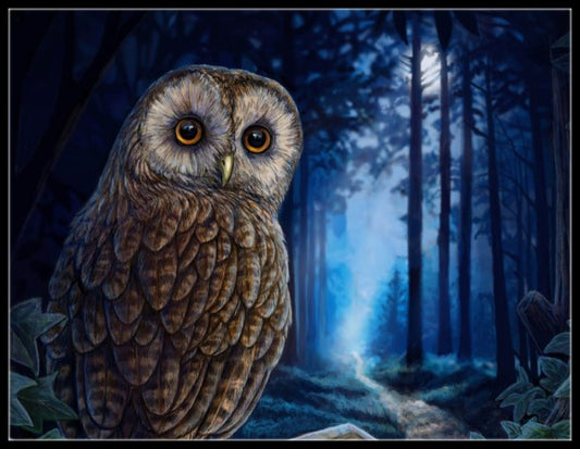 Owls Collection 19 - Counted Cross Stitch Patterns Embroidery Crafts Needlework DIY Chart DMC Color