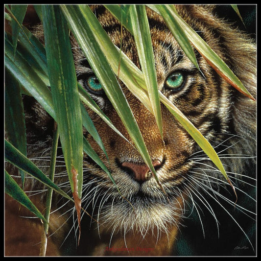 Tiger Collection 5 - Counted Cross Stitch Patterns Embroidery Crafts Needlework DIY Chart DMC Color