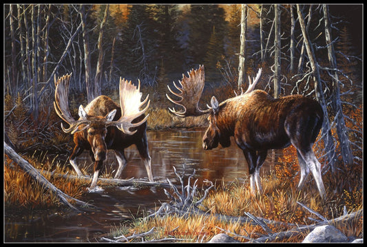 Majestic Moose - Counted Cross Stitch Patterns Embroidery Crafts Needlework DIY Chart DMC Color