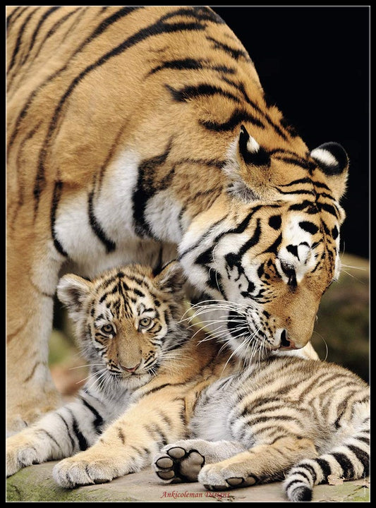 Moment of Tenderness - Counted Cross Stitch Patterns Embroidery Crafts Needlework DIY Chart DMC Color