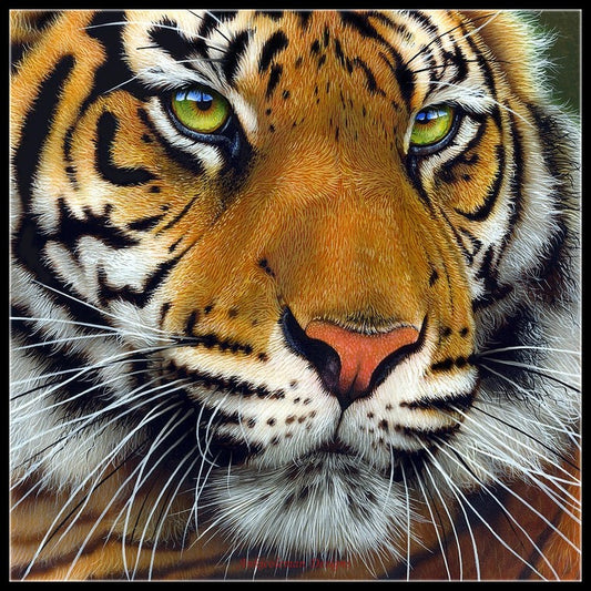 Tiger Collection 3 - Counted Cross Stitch Patterns Embroidery Crafts Needlework DIY Chart DMC Color