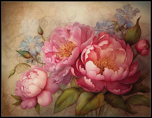 Vintage Pink Peonies 1 - Counted Cross Stitch Patterns Embroidery Crafts Needlework DIY Chart DMC Color
