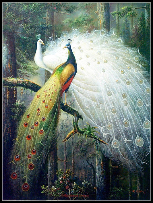 Peacock Collection 14 - Counted Cross Stitch Patterns Embroidery Crafts Needlework DIY Chart DMC Color