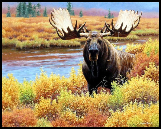 Moose Collection 4 - Counted Cross Stitch Patterns Embroidery Crafts Needlework DIY Chart DMC Color