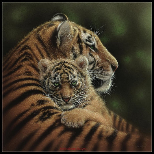 Tiger Collection 6 - Counted Cross Stitch Patterns Embroidery Crafts Needlework DIY Chart DMC Color