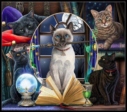 Magical Cat Montage 2 - Counted Cross Stitch Patterns Embroidery Crafts Needlework DIY Chart DMC Color