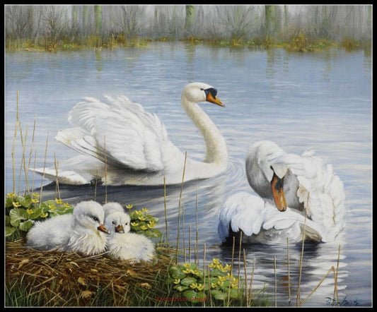 Swans - Counted Cross Stitch Patterns Embroidery Crafts Needlework DIY Chart DMC Color