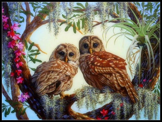Owls Collection 20 - Counted Cross Stitch Patterns Embroidery Crafts Needlework DIY Chart DMC Color