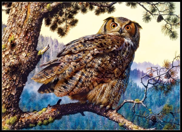 Owls Collection 21 - Counted Cross Stitch Patterns Embroidery Crafts Needlework DIY Chart DMC Color