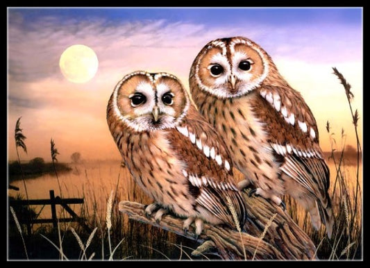 Owls Collection 22 - Counted Cross Stitch Patterns Embroidery Crafts Needlework DIY Chart DMC Color