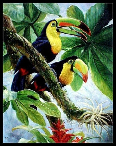 Parrot and Macaw 2 - Counted Cross Stitch Patterns Embroidery Crafts Needlework DIY Chart DMC Color