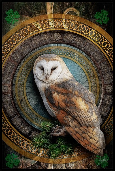 Owls Collection 3 - Counted Cross Stitch Patterns Embroidery Crafts Needlework DIY Chart DMC Color