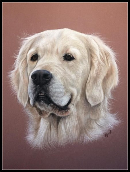 Portrait of Dogs 3 - Counted Cross Stitch Patterns Embroidery Crafts Needlework DIY Chart DMC Color