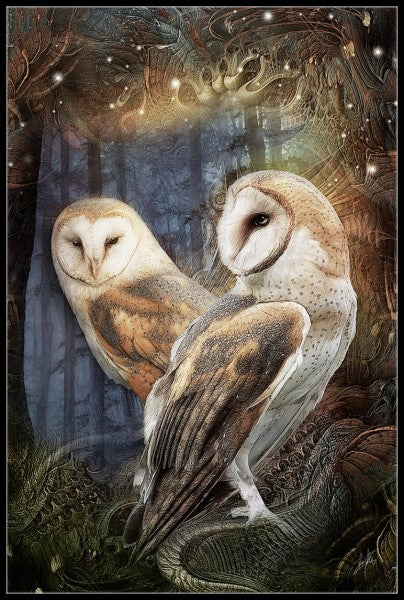 Owls 4 - Counted Cross Stitch Patterns Embroidery Crafts Needlework DIY Chart DMC Color