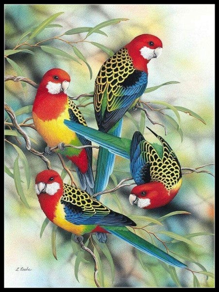 Parrot and Macaw 7 - Counted Cross Stitch Patterns Embroidery Crafts Needlework DIY Chart DMC Color