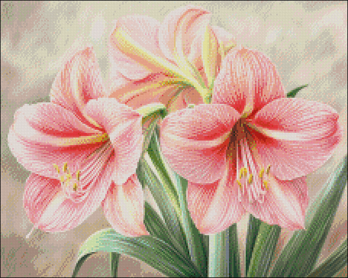 Pink Amaryllis - Counted Cross Stitch Patterns Embroidery Crafts Needlework DIY Chart DMC Color