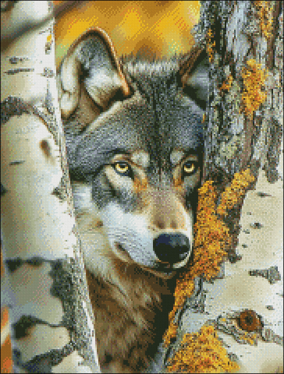 Wolf Encounter 2 - Counted Cross Stitch Patterns Embroidery Crafts Needlework DIY Chart DMC Color