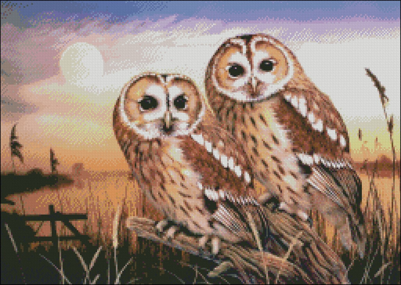 Owls Collection 22 - Counted Cross Stitch Patterns Embroidery Crafts Needlework DIY Chart DMC Color