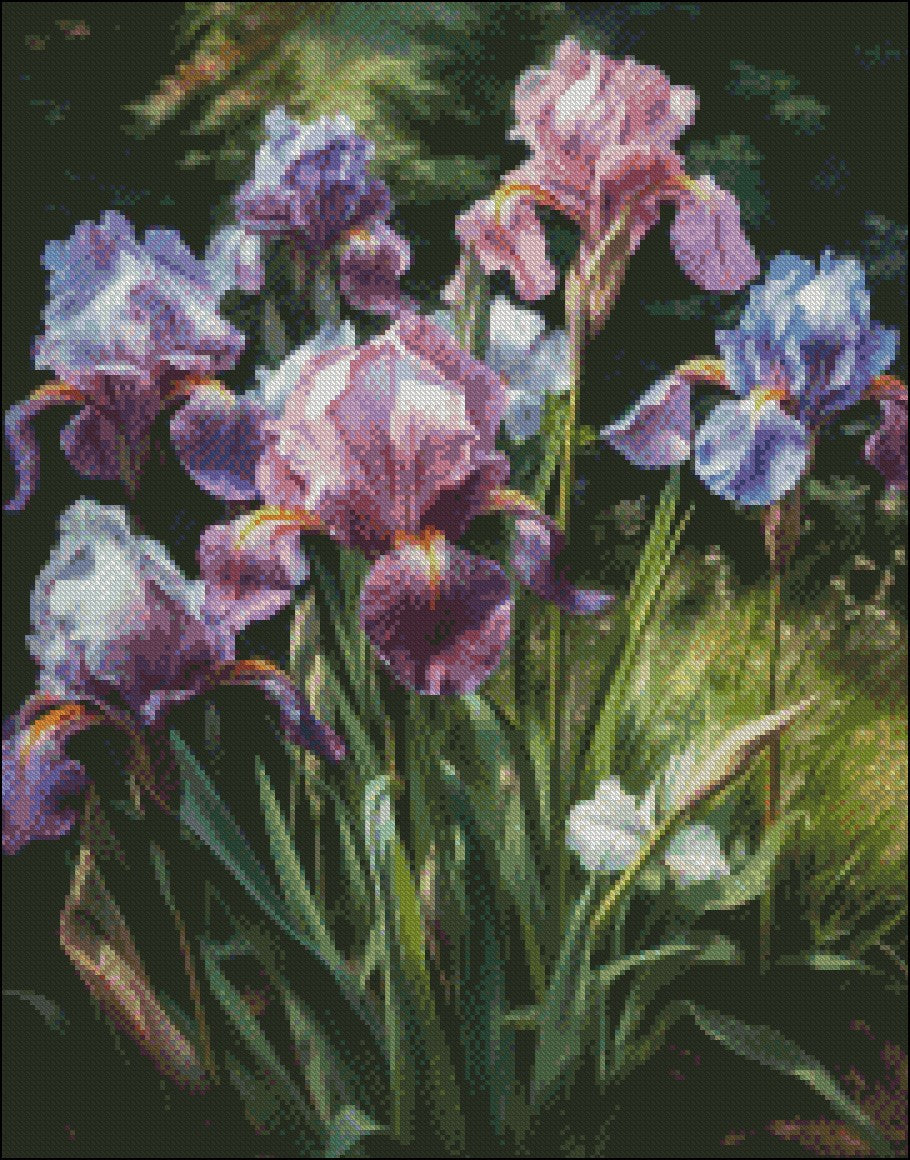 Iris in Garden - Counted Cross Stitch Patterns Embroidery Crafts Needlework DIY Chart DMC Color