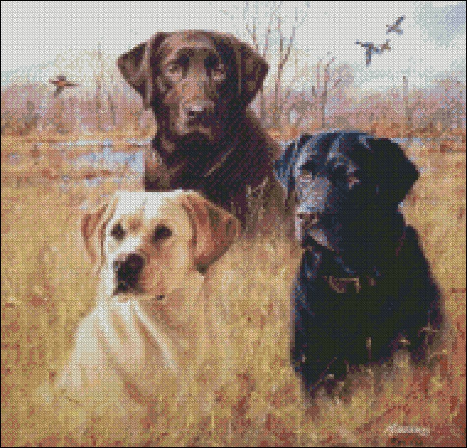 Dogs and Puppies 9 - Counted Cross Stitch Patterns Embroidery Crafts Needlework DIY Chart DMC Color