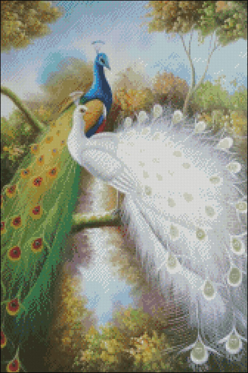 Peacock Collection 5 - Counted Cross Stitch Patterns Embroidery Crafts Needlework DIY Chart DMC Color