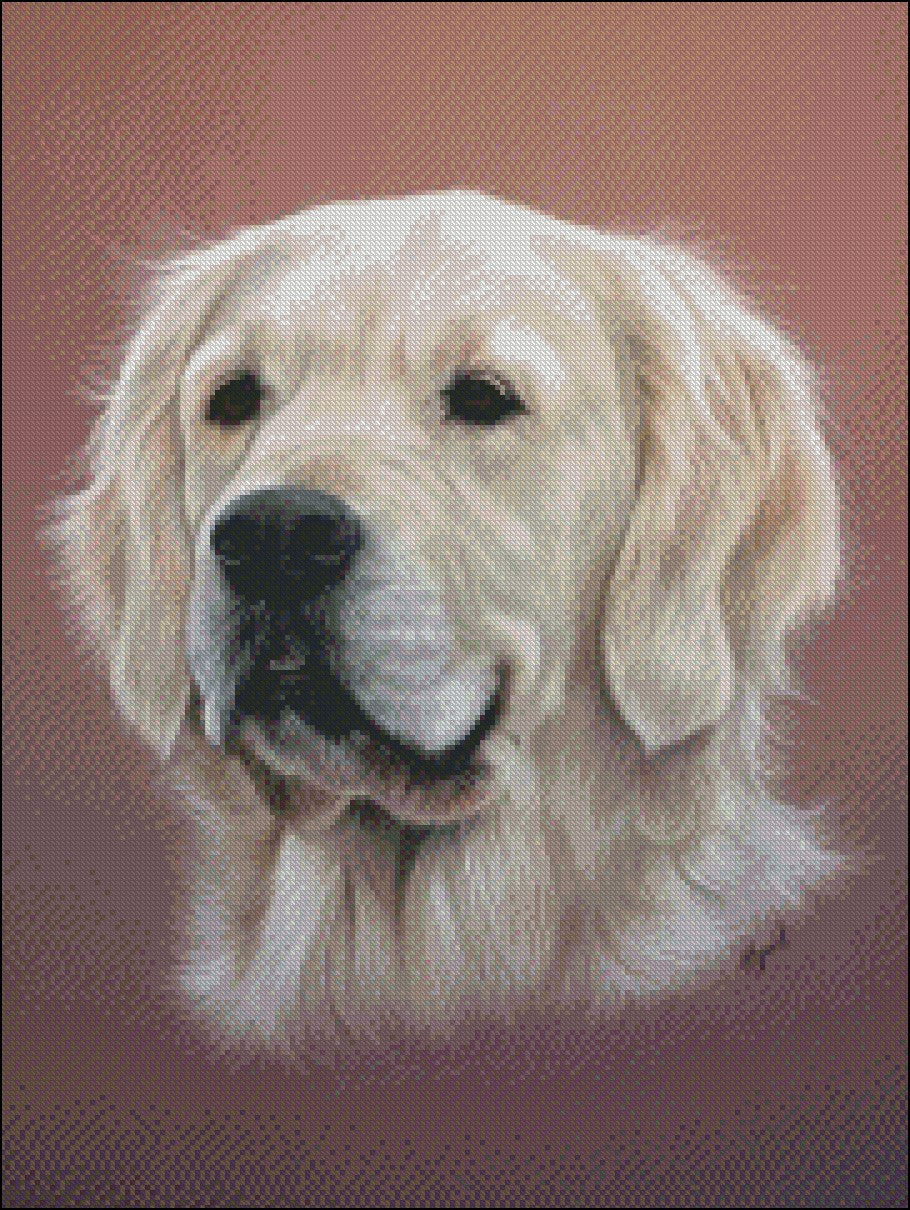 Portrait of Dogs 3 - Counted Cross Stitch Patterns Embroidery Crafts Needlework DIY Chart DMC Color