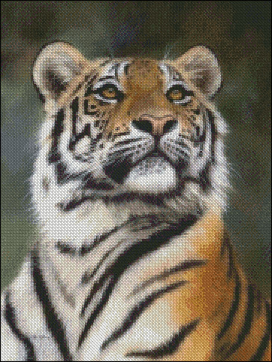 Tiger Collection 11 - Counted Cross Stitch Patterns Embroidery Crafts Needlework DIY Chart DMC Color