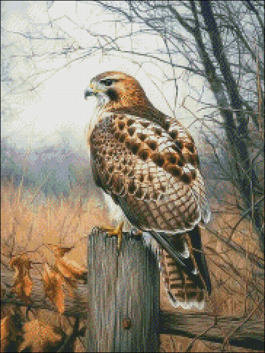 Red Tailed Hawk - Counted Cross Stitch Patterns Embroidery Crafts Needlework DIY Chart DMC Color