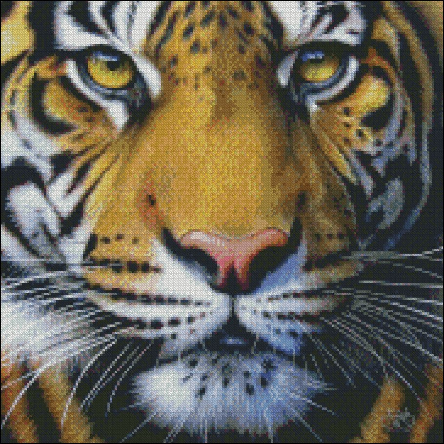 Tiger Collection 2 - Counted Cross Stitch Patterns Embroidery Crafts Needlework DIY Chart DMC Color