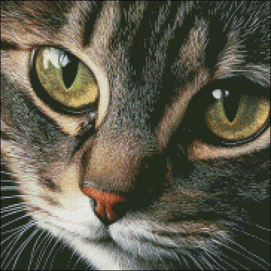 Cute Cat Face 2 - Counted Cross Stitch Patterns Embroidery Crafts Needlework DIY Chart DMC Color