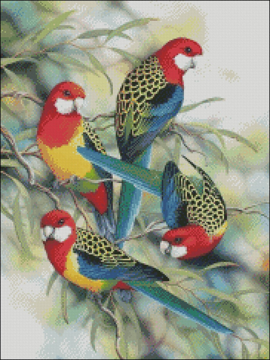 Parrot and Macaw 7 - Counted Cross Stitch Patterns Embroidery Crafts Needlework DIY Chart DMC Color